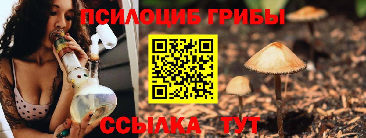 Галлюциногенные грибы мицелий  Псилоцибиновые грибы мухоморы  Урус-Мартан  Вход с VPN 